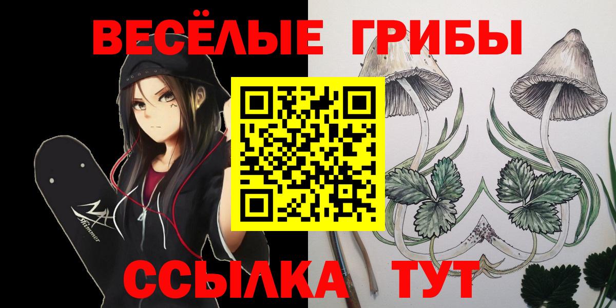 Псилоцибиновые грибы прущие грибы Морозовск